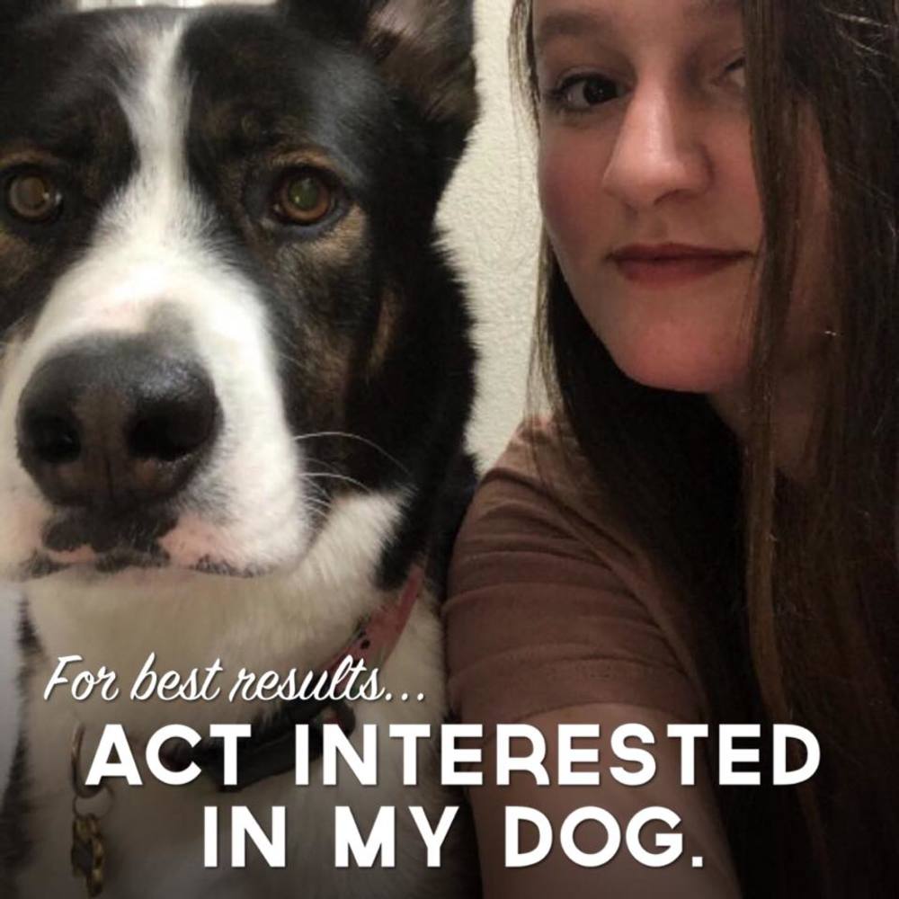 Meet your Posher, Amanda